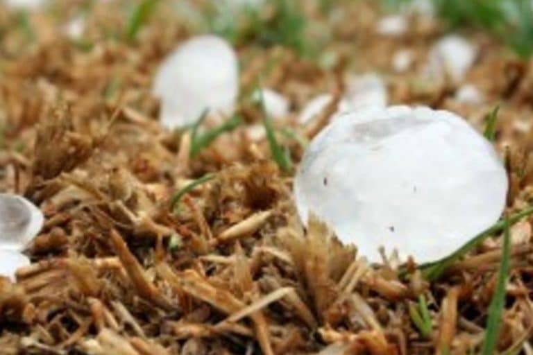 How to avoid hail damage to your vehicle