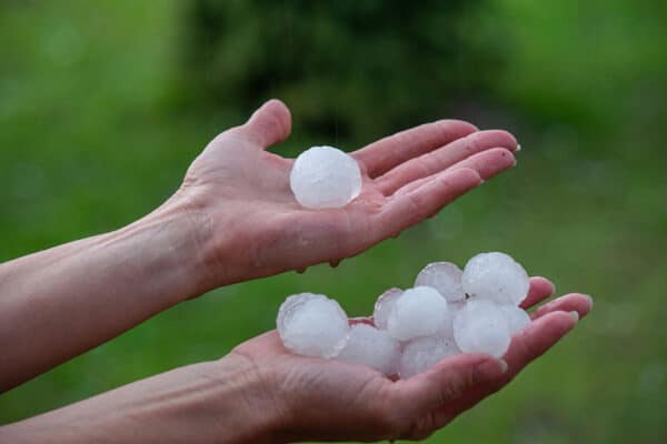 hail damaged vehicles in Denver this summer